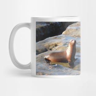 Young California Sea Lion, Marine Life, Wildlife, Nature Mug